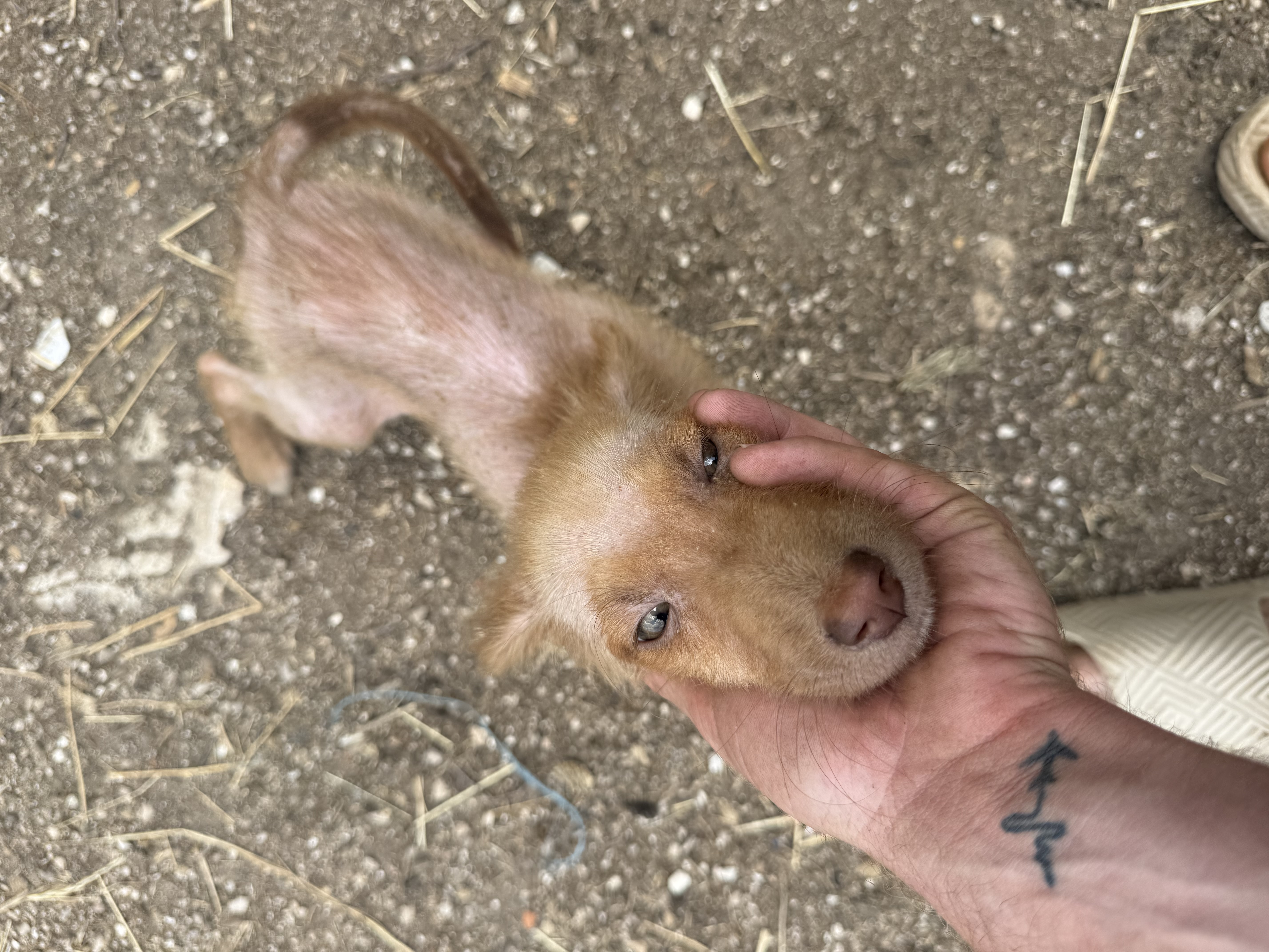 His Sister Died. He’s Fighting to Stay Alive. 💔 photo