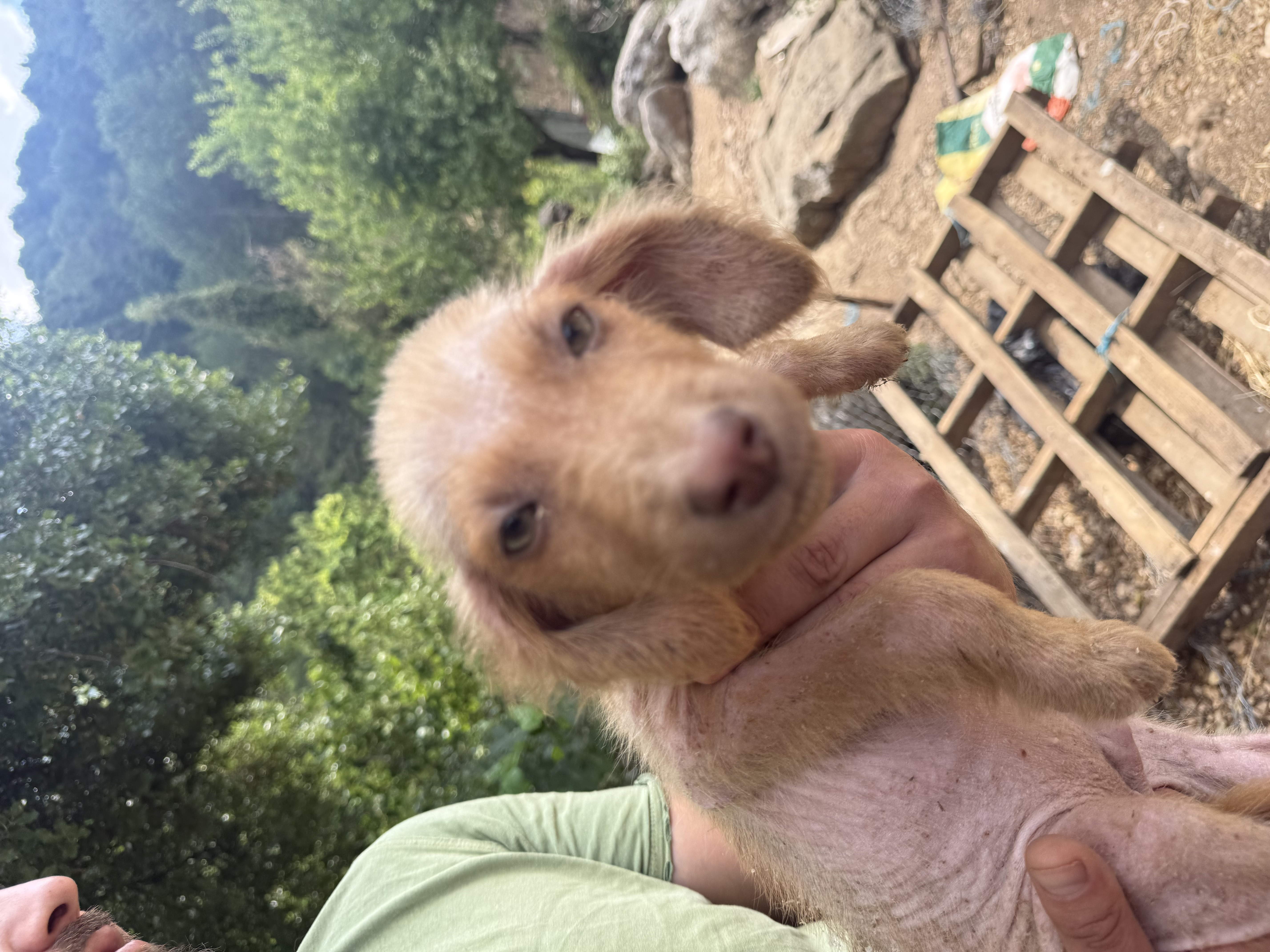 His Sister Died. He’s Fighting to Stay Alive. 💔 photo