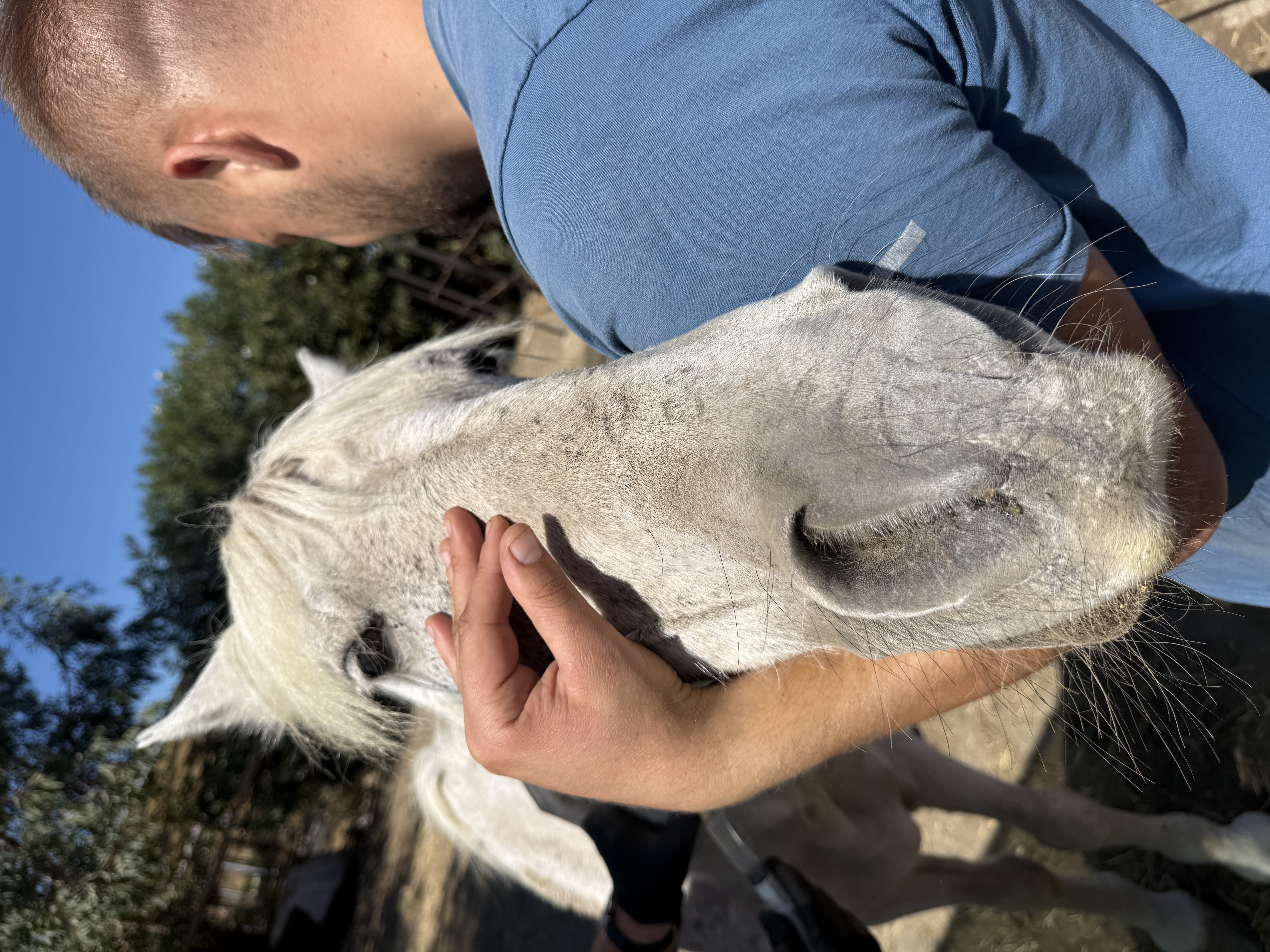 stand with Star in his hardest day photo