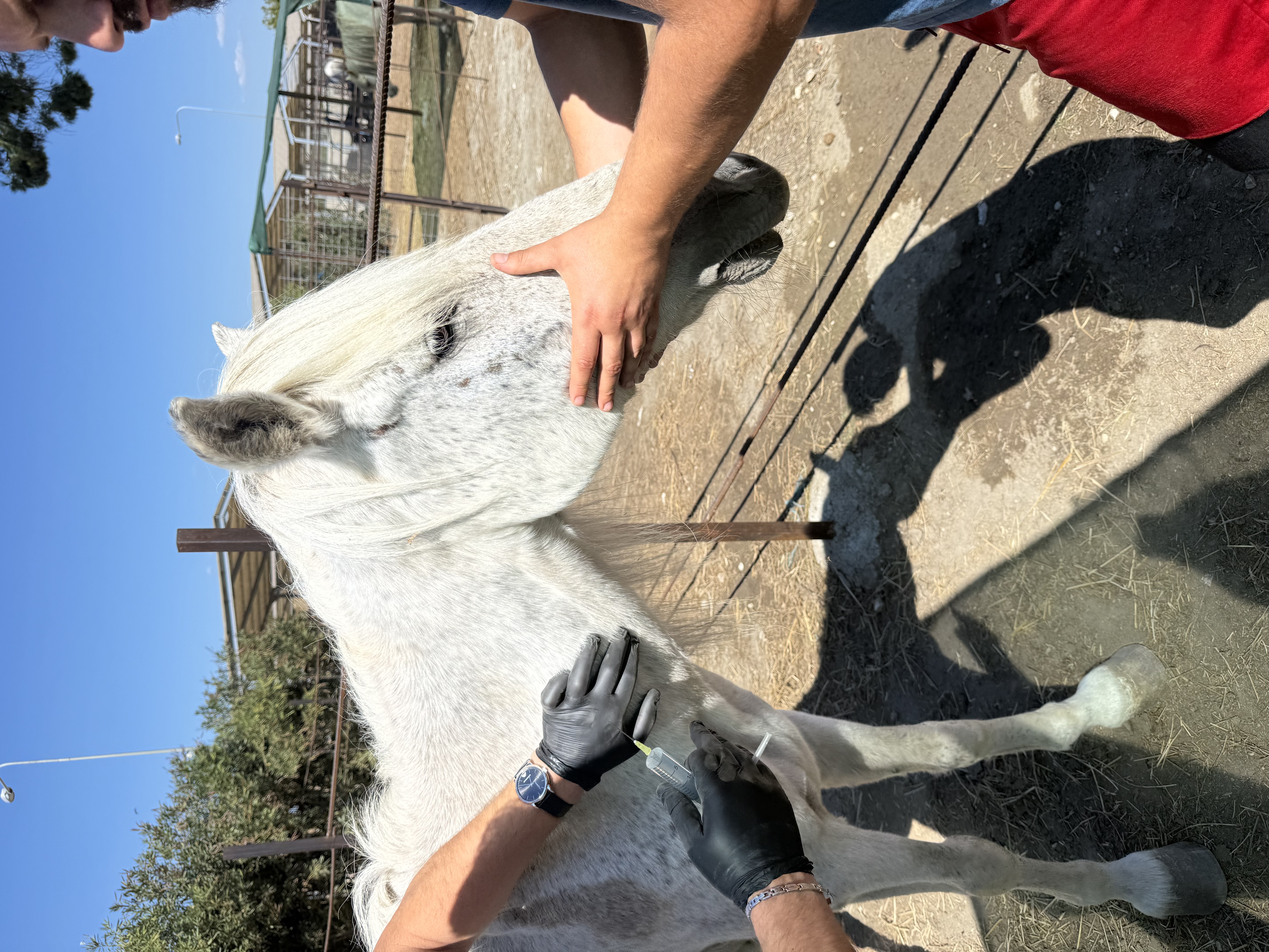 stand with Star in his hardest day photo