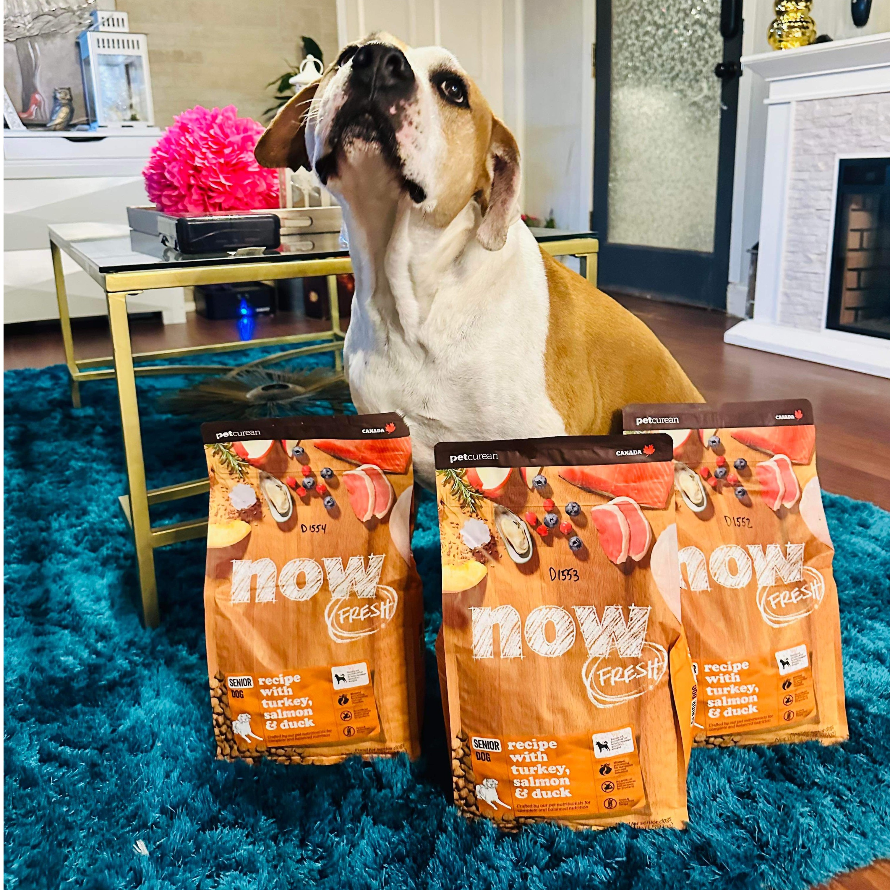 Donate to Pet Pantry Supply Drive Support animal welfare with CUDDLY