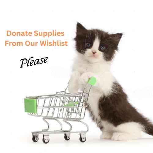 SUPPLIES NEEDED