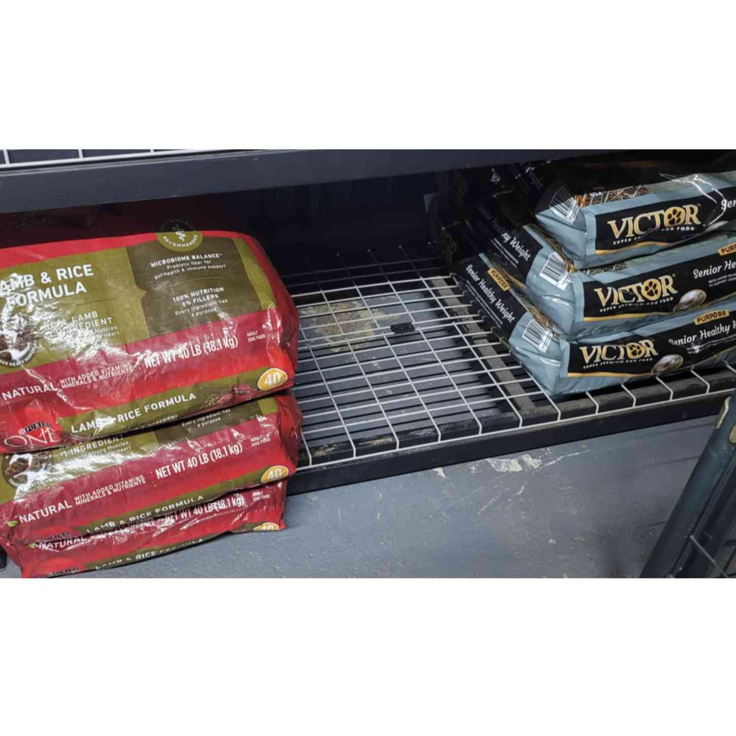 Donate to Food & Medication Needed Support animal welfare with CUDDLY