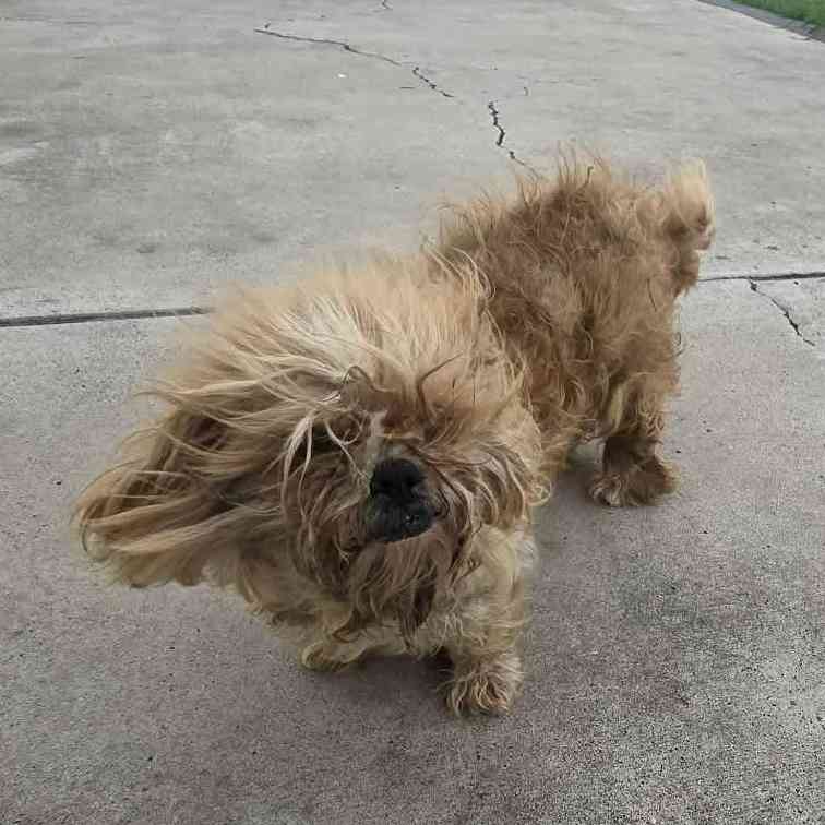 Help Truffles