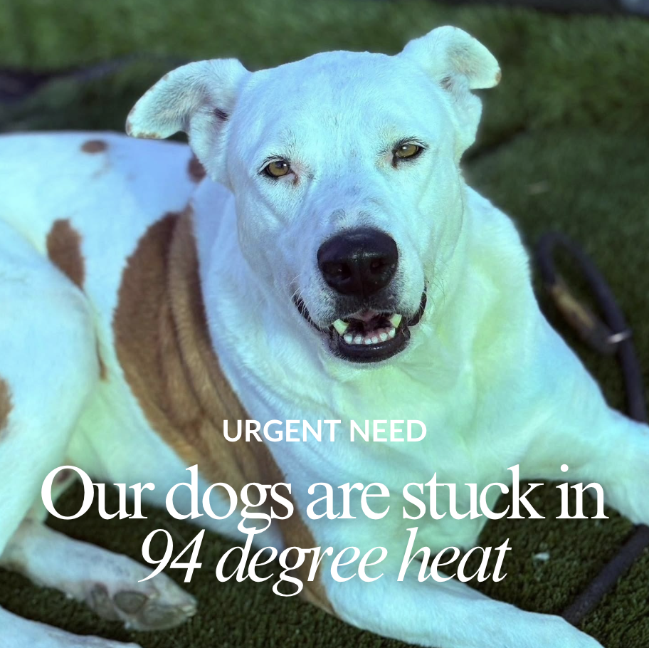 Our Emergency Need