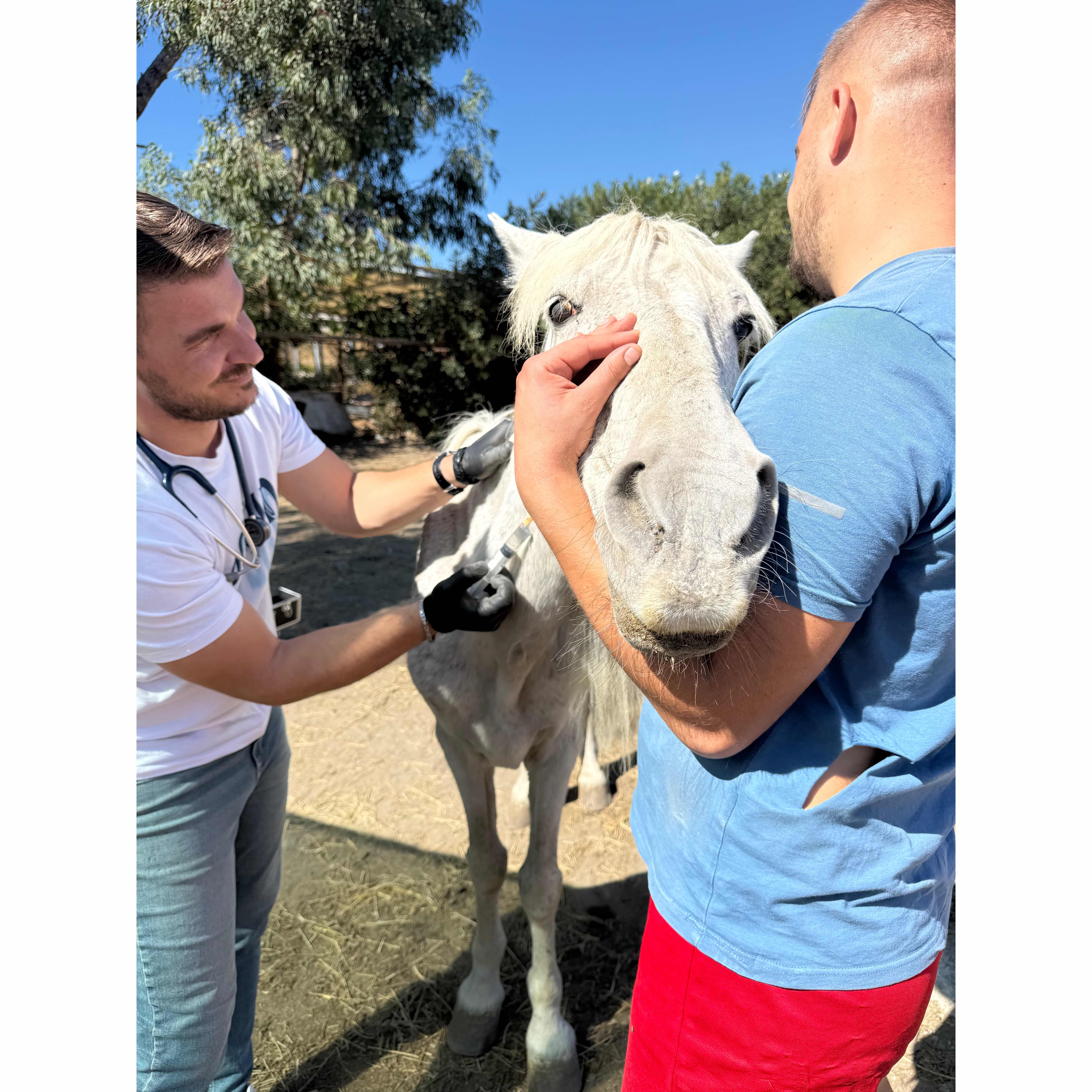 Help stand with Star in his hardest day