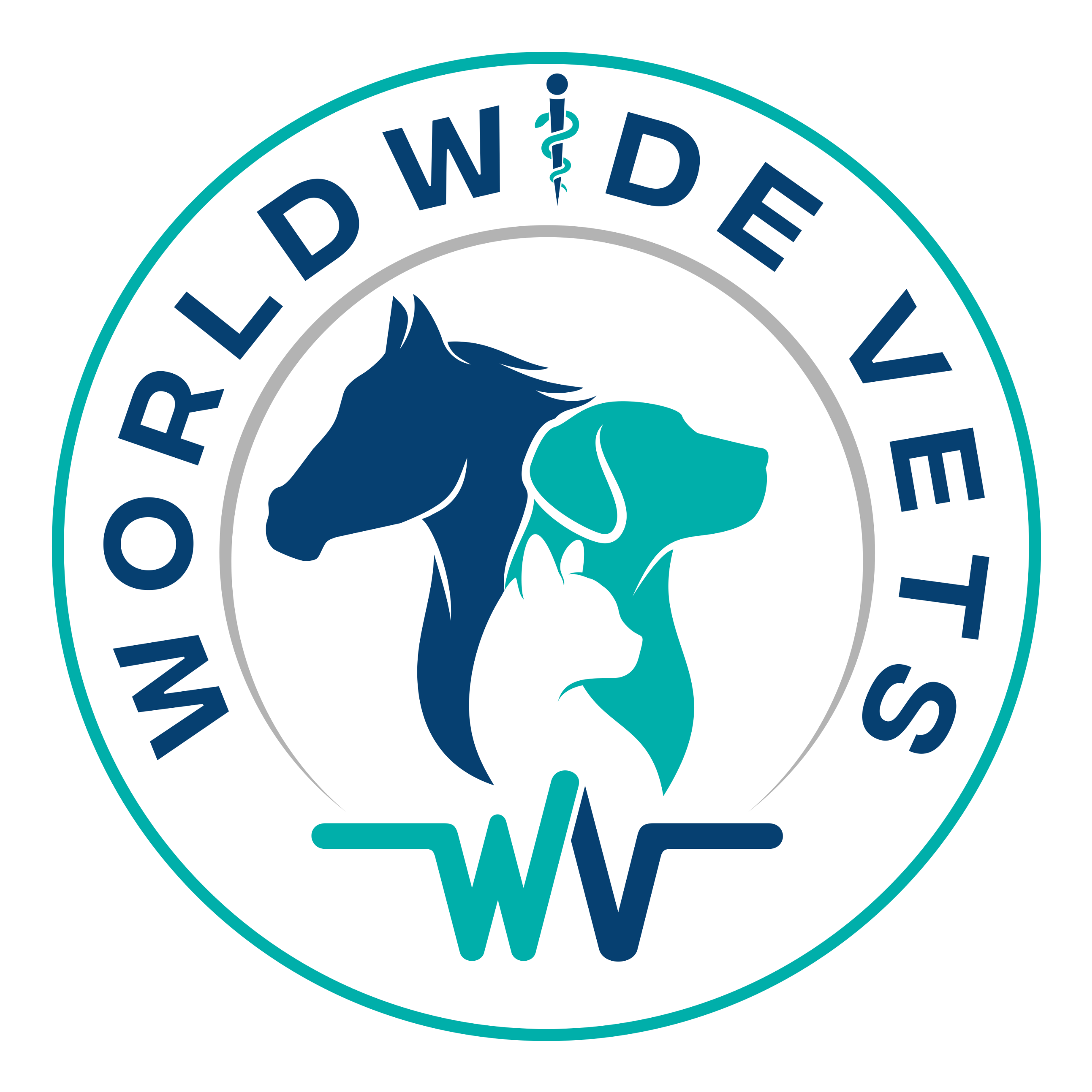 Worldwide Vets Incorporated