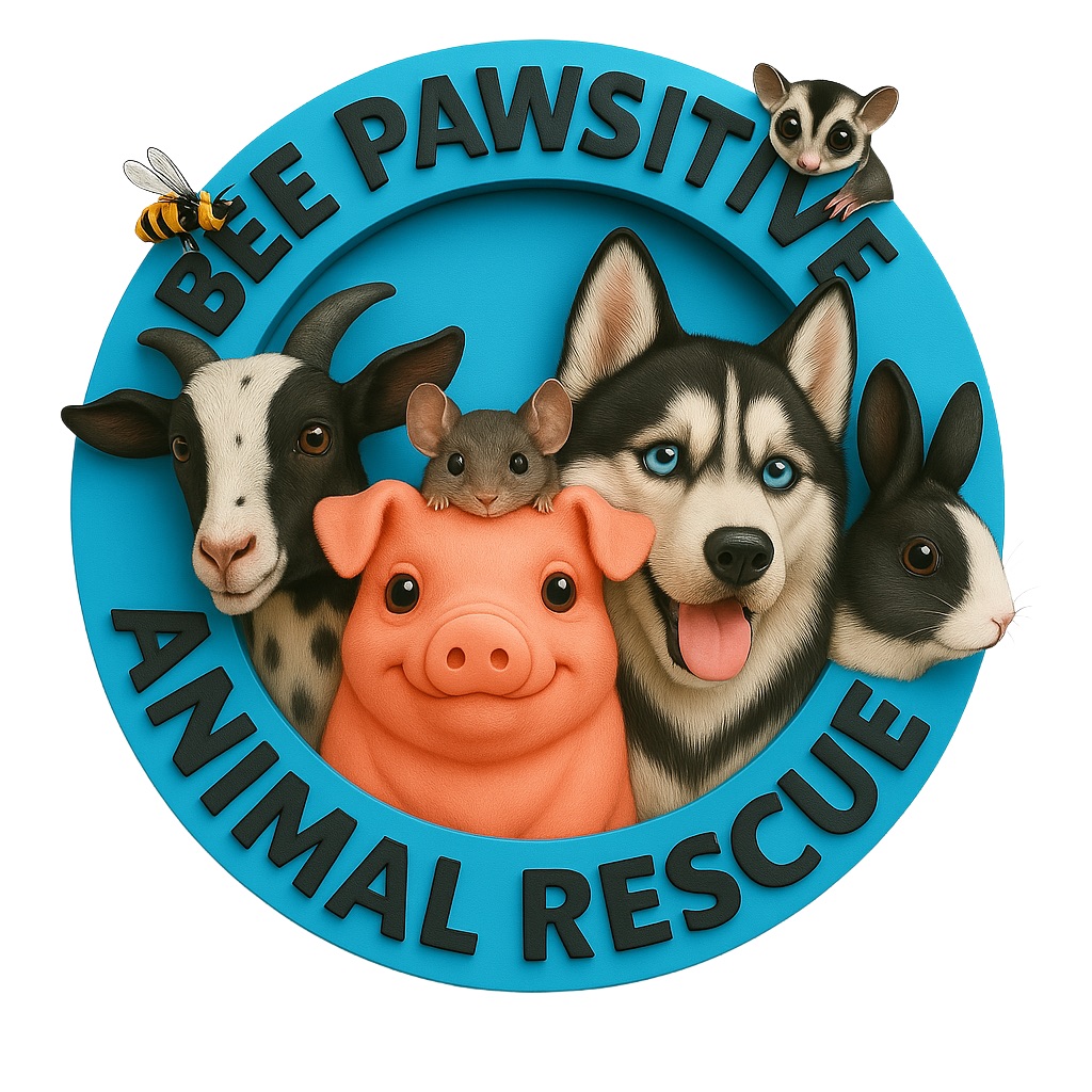 Bee Pawsitive Animal Rescue
