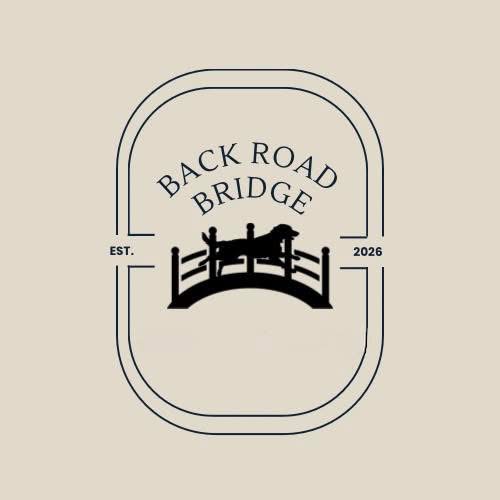 Backroad Bridge Rescue